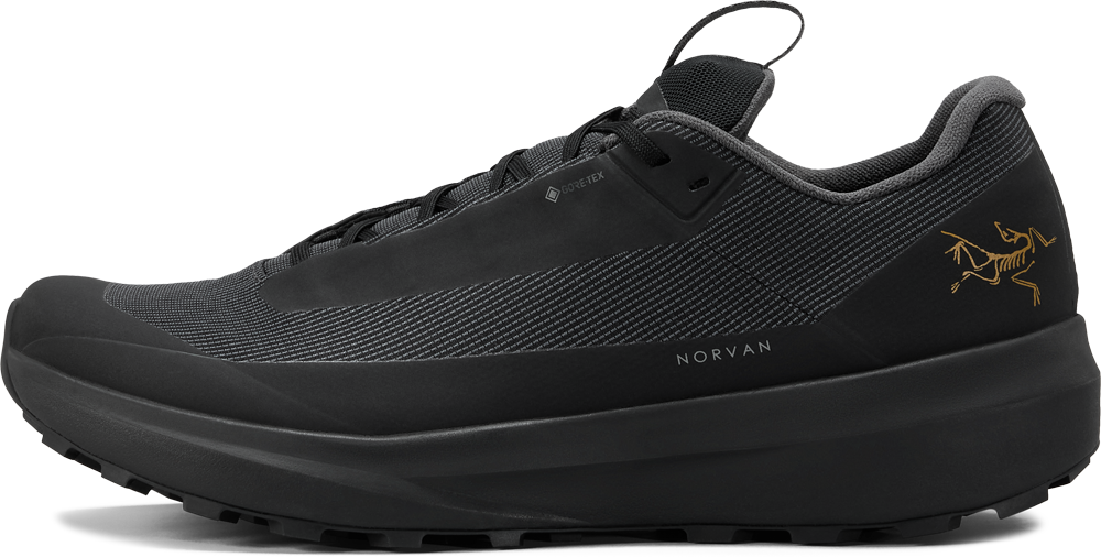 Norvan LD 4 GTX Hardloopschoen Dames Black/Black 5,5