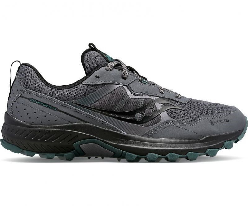 Excursion Tr16 Gtx Hardloopschoen Heren Soellaart.nl