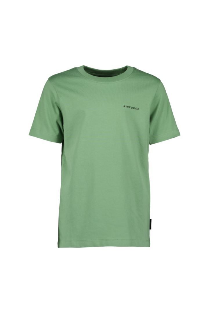 Basic T-Shirt Heren Green Frost/True Black XL Soellaart.nl