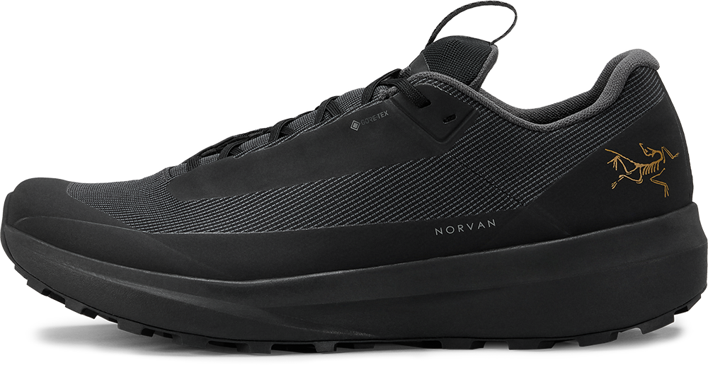 Arcteryx Norvan Ld 4 Gtx Hardloopschoen Heren Black/Black 10